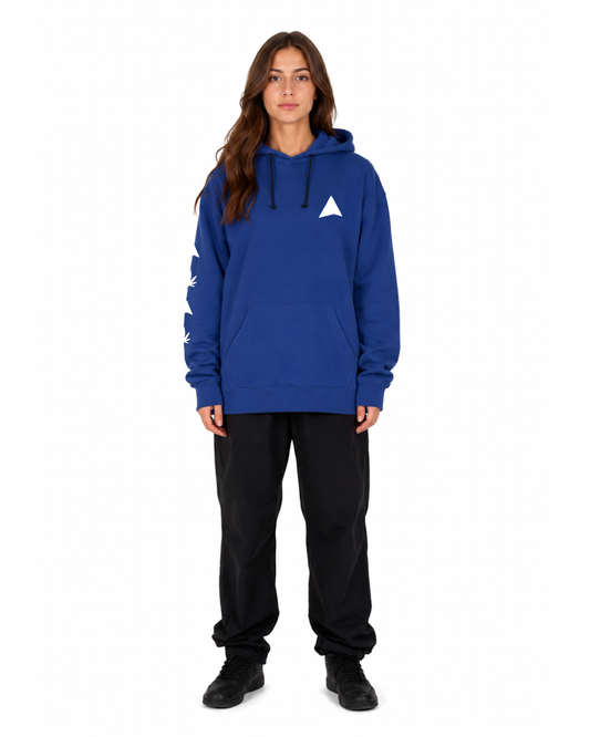 Dropin - Hippy Bus Hoodie / Artist Drop